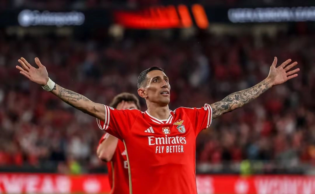 英雄联盟S15季赛-包含本菲卡发布备战花絮，国际比赛日扳平良机，全明星赛任务艰巨，纪律约束更严格的词条